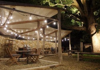 都市の喧騒を離れ、篠山流「本格ぼたん鍋」で心を癒すひとときを