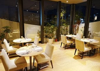 オープチデリスの画像