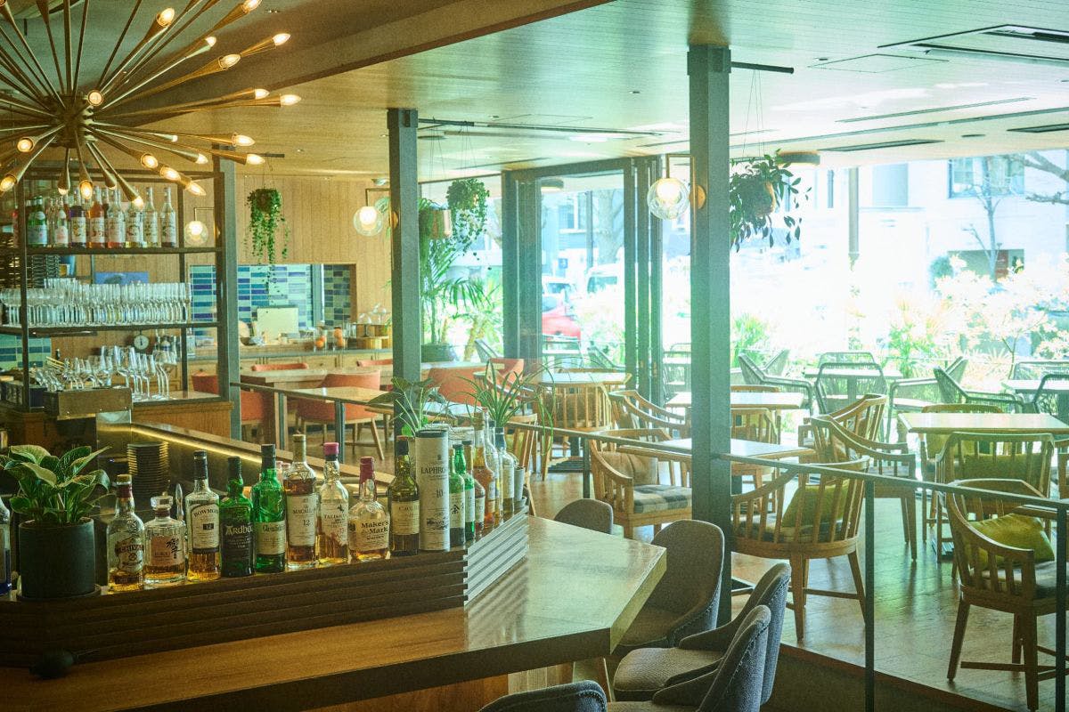 THE Tender HOUSE DINING