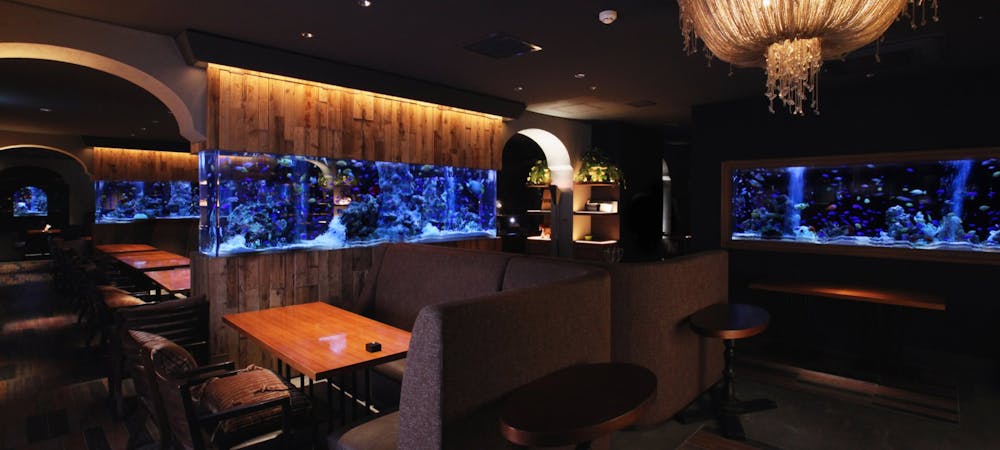 アクアリウム 魚イタリアン ライム心斎橋 クロスホテル大阪 ダイニングバー イタリアン 一休 Comレストラン